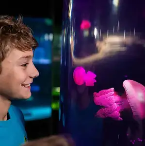 SEA LIFE Sydney Aquarium - General Admission