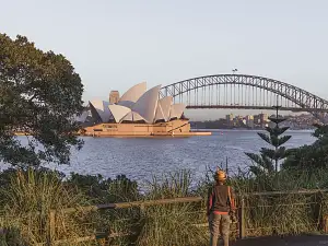 Sydney Sightseeing Including Bondi Beach