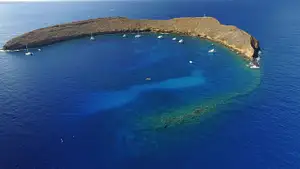 Molokini Crater & Turtle Cove Snorkel Tour
