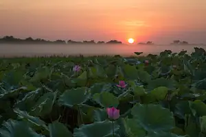 Corroboree Billabong Fishing