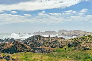 Walk Tasmania's Tarkine & Cradle Mountain