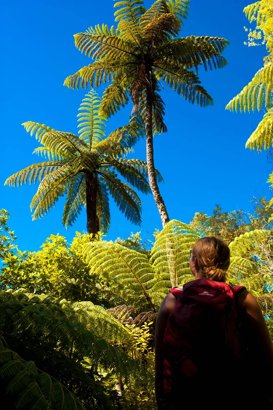 Motuara Island Scenic Reserve Views