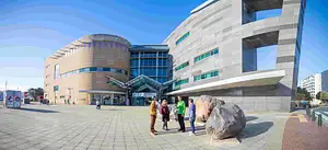 Te Papa Museum Entry (International Visitors)