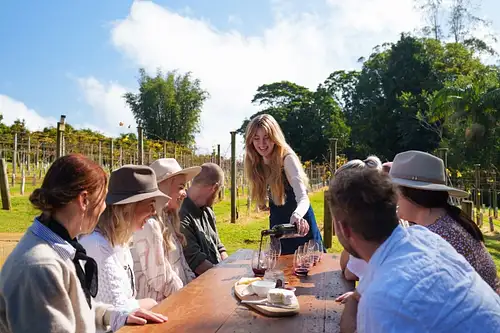 vino-bus-wine-tasting