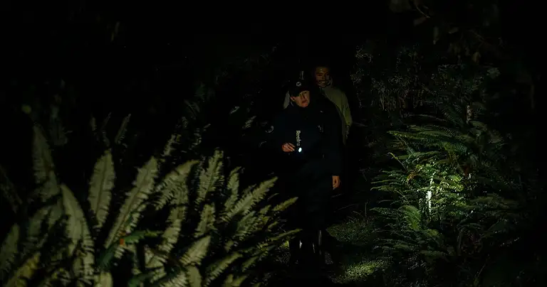 Wild Kiwi Night Walk Stewart Island