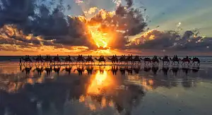 Sunset Camel Tour Broome